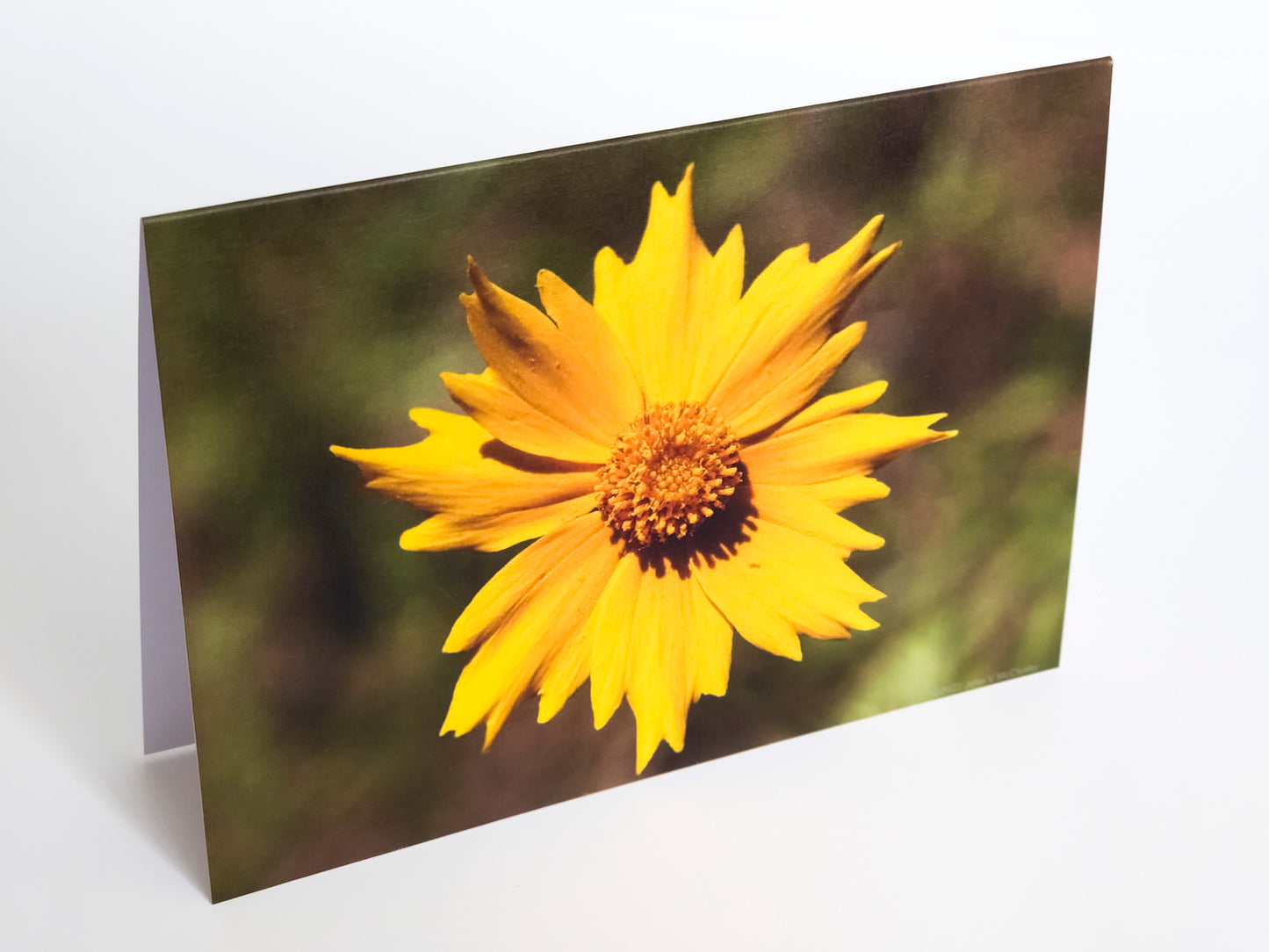 POSC  Digitization and Touchup