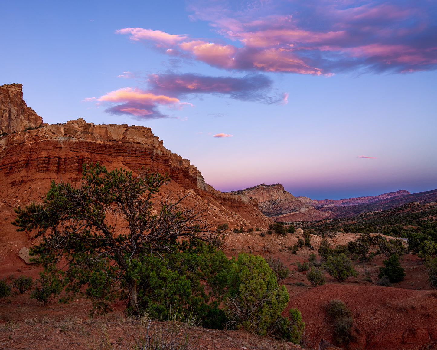 Pink clouds glow in the sunset above the red cliffs at Capitol Reef National Park. Fine Art landscape photography print by McClusky Nature Photography.