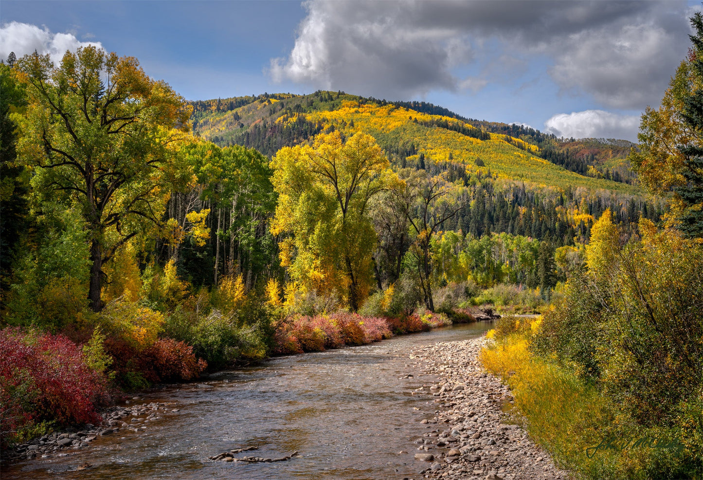 A river flows through a mountain valley as the trees and brush glow yellow and red. Fine Art Landscape Print from McClusky Nature Photography