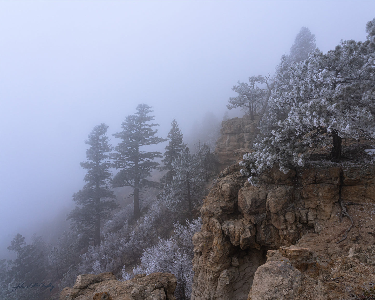 The trees and bushes of this Spruce Mountain cliffside are painted by hoarfrost on this foggy morning. Fine Art Landscape Photography by McClusky Nature Photography.
