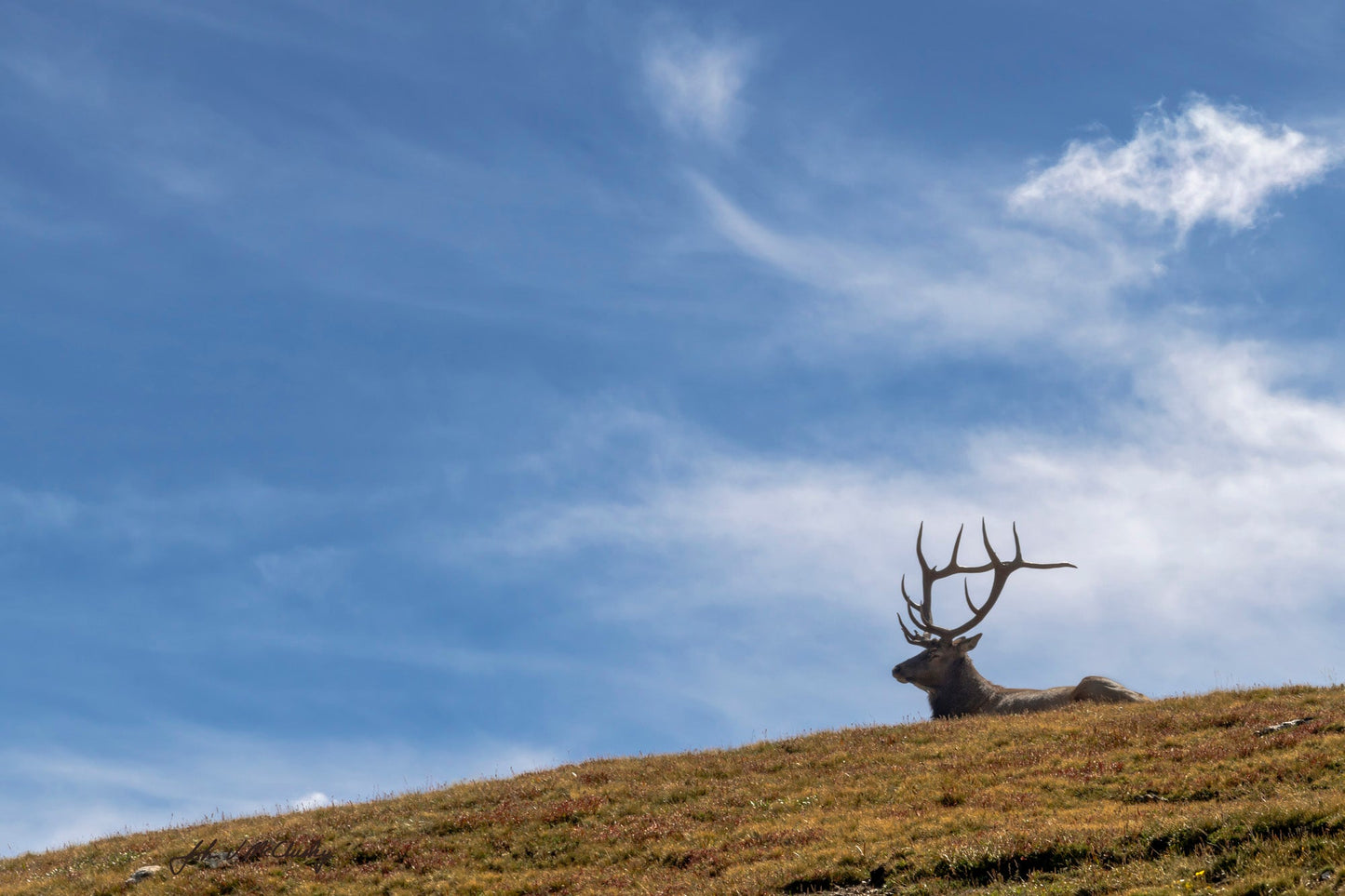 Surveying His Kingdom