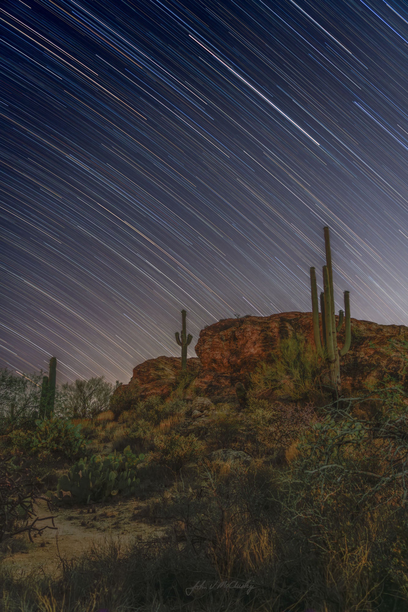 Star Trails and Saguaro