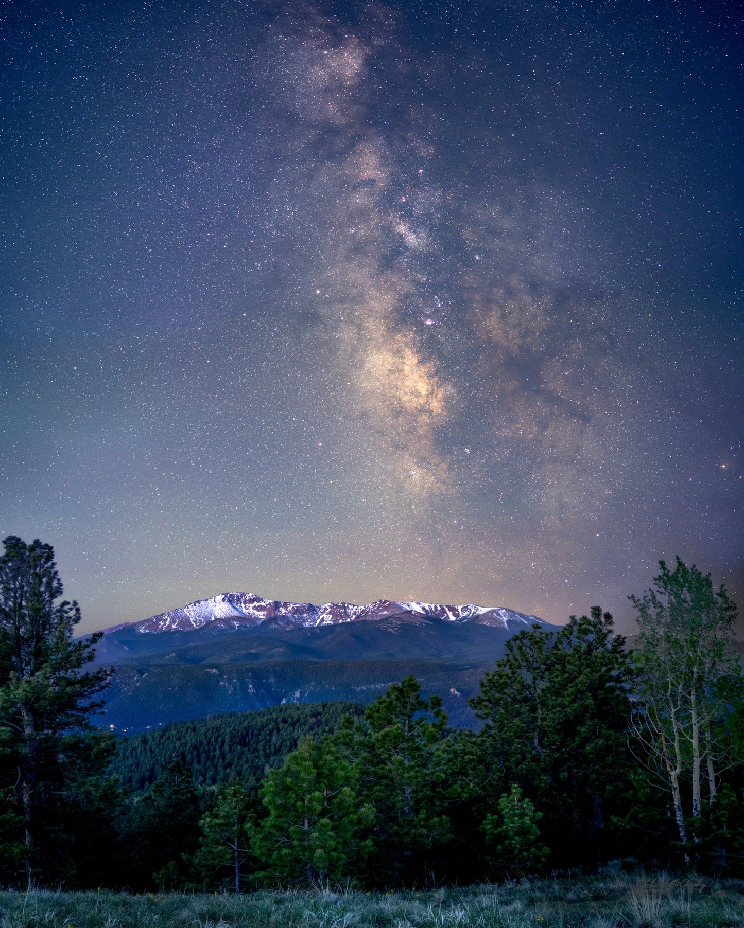 The Milky Way glows over Pikes Peak with aspen and pines in the foreground
