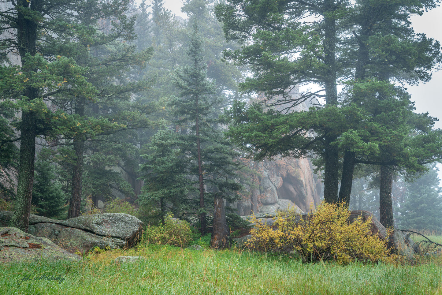 Misty Evening at Devil's Head