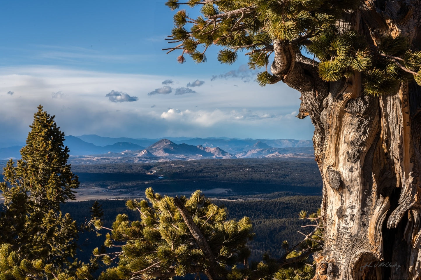 An Ancient's View
