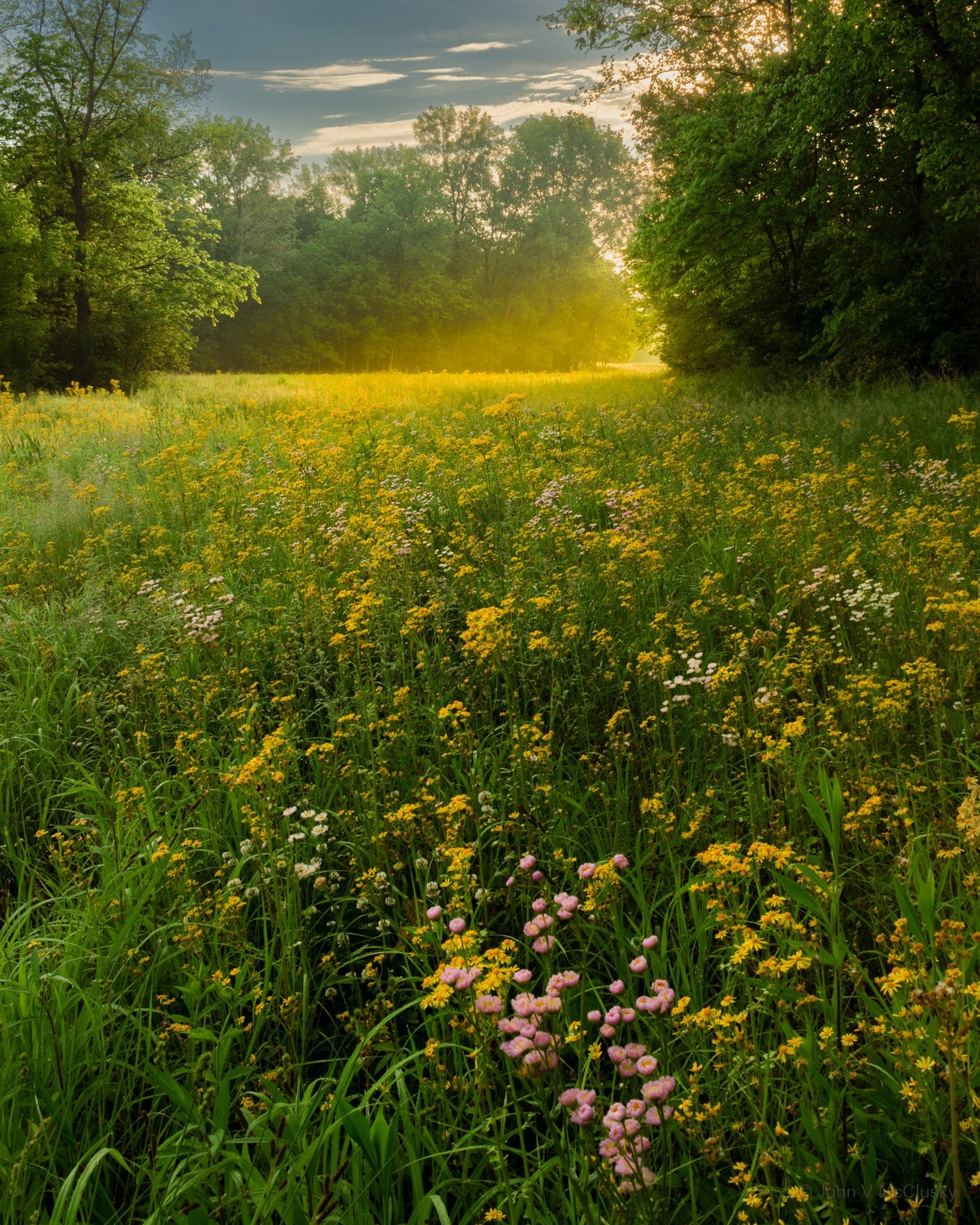 Sunglow: Fine Art Landscape Photography