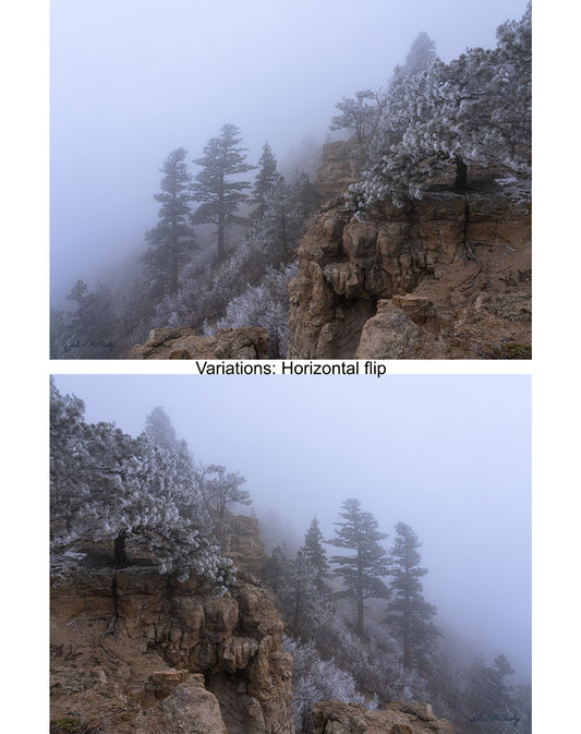 Variations: Horizontal flip in the image "Frostbitten"