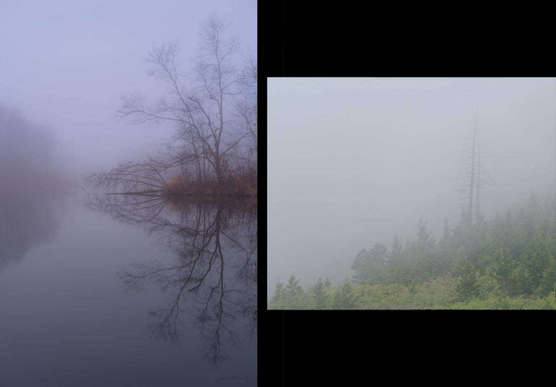 Runner Up: Foggy Images