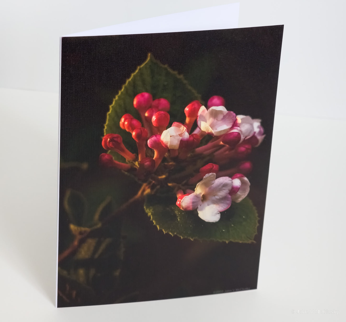 Five Note Cards