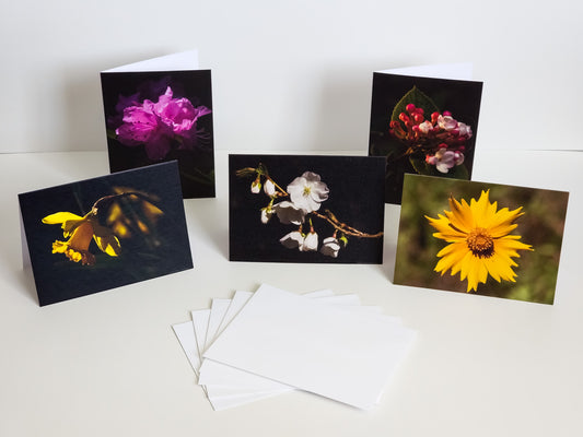 Five Note Cards