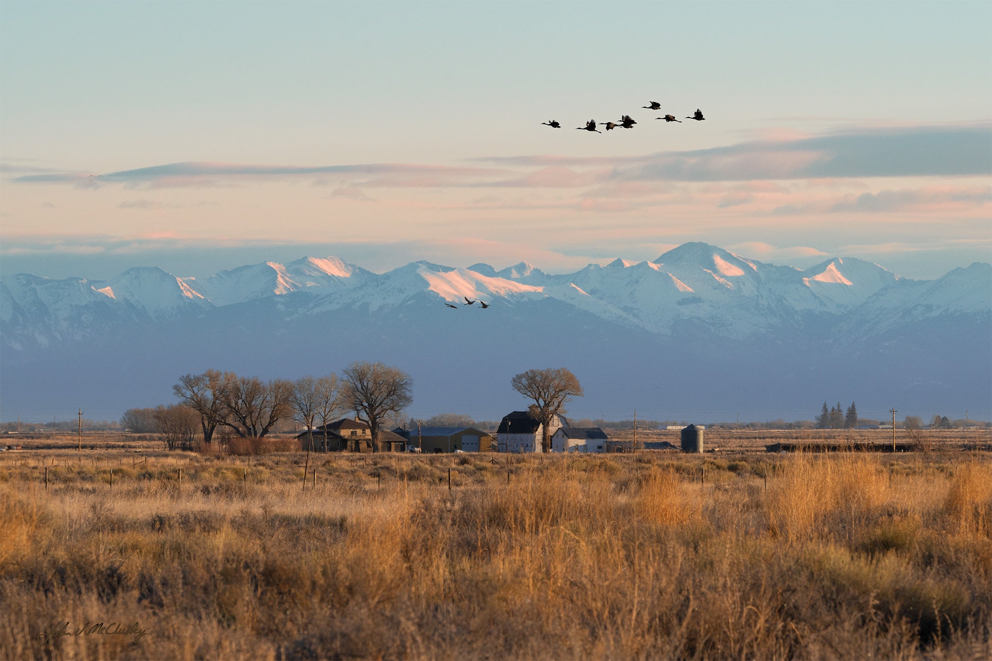 Cranes fly overhead as the light of breaking dawn lights snow capped mountains, prairie grasses, and a homestead in this landscape nature image.