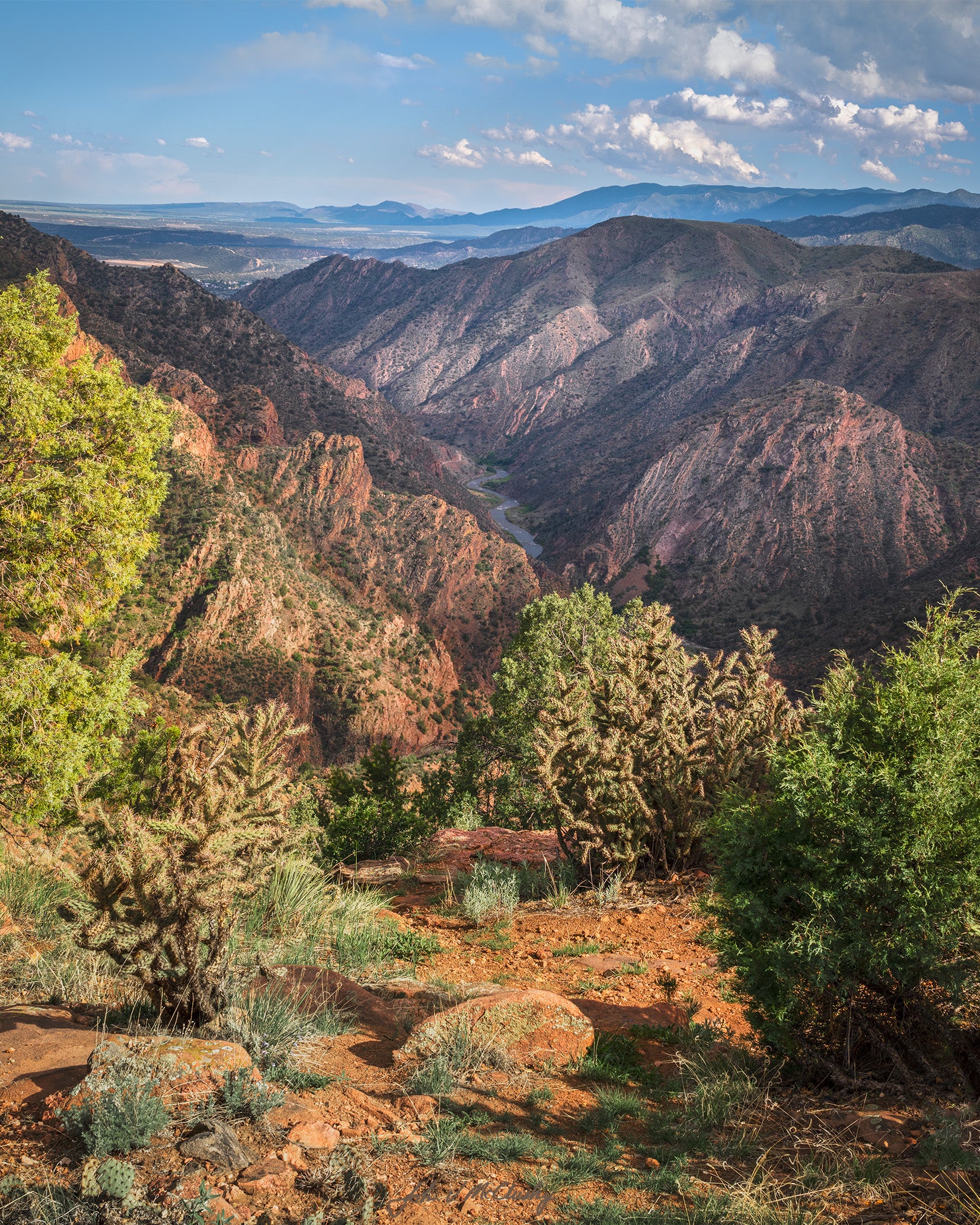 The Royal Gorge is amazing, and I loved the way the early evening light highlighted the cactus and grasses while adding texture and depth to the Arkansas River valley below. Fine Art Landscape Photography.