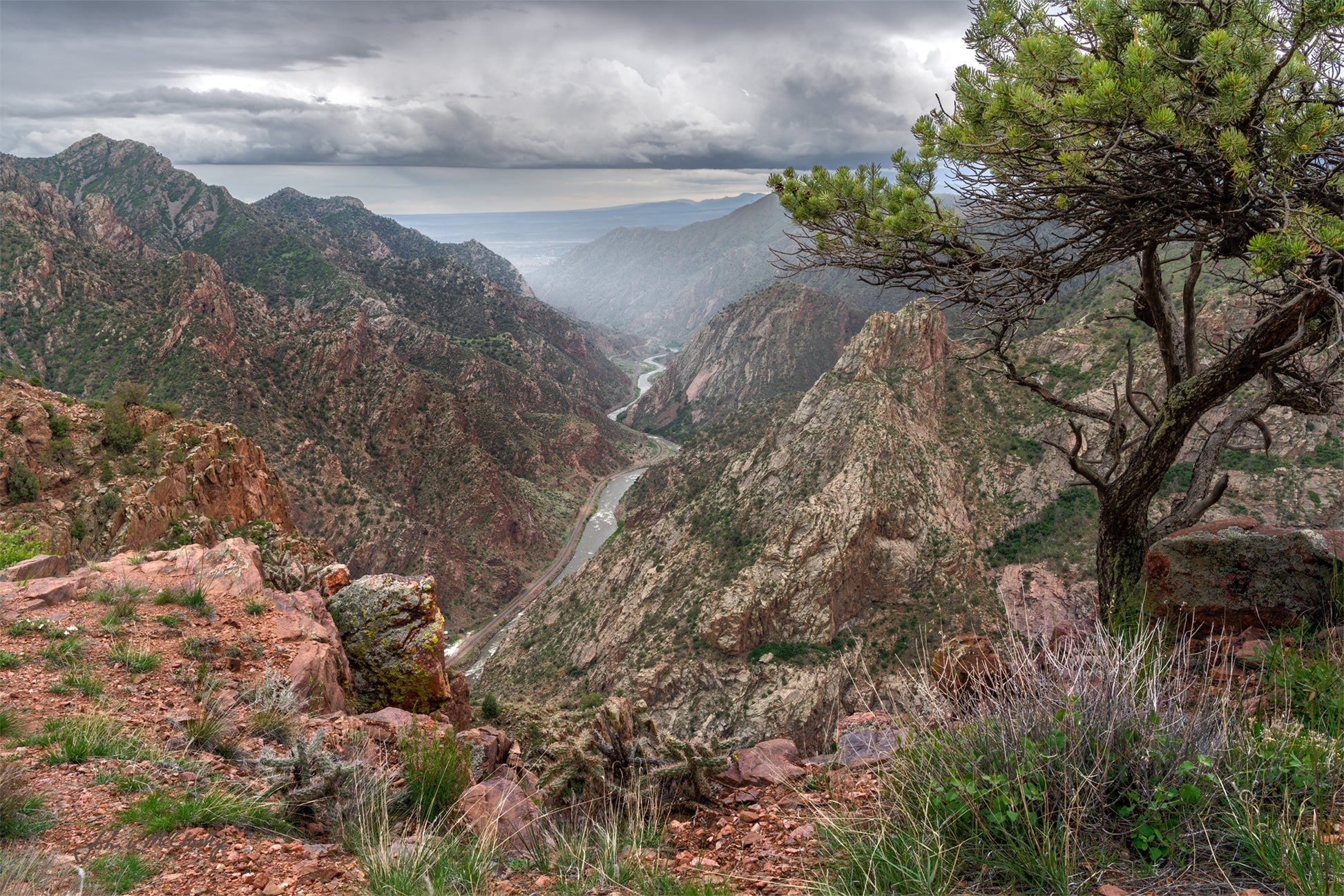 The dramatic cliffs of Royal Gorge in Colorado are partially lost behind an approaching rain squall as an attractive pine tree watches. Fine Art Landscape image by McClusky Nature Photography.