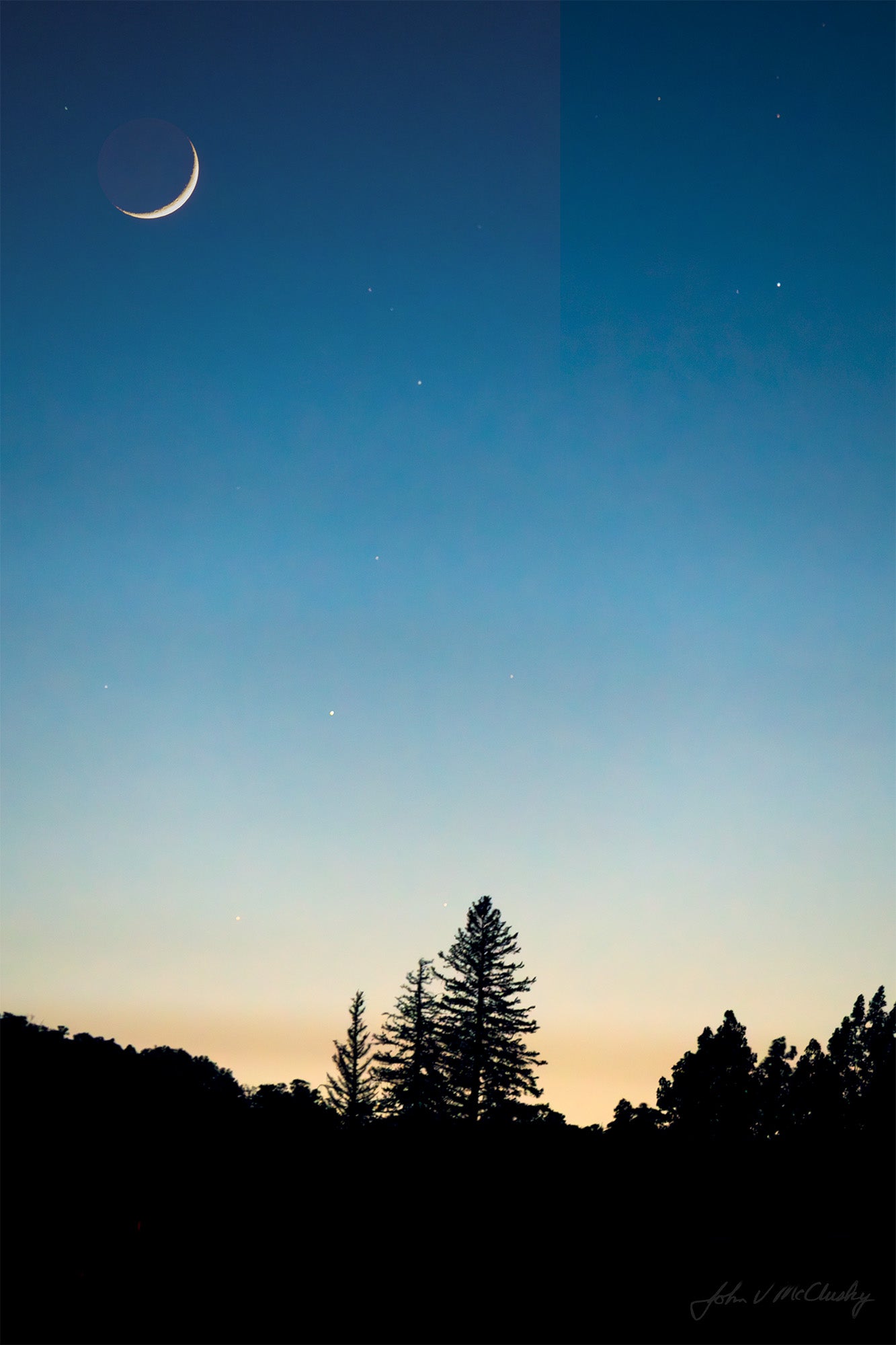 A crescent moon hangs in a blue dusk sky with stars, silhouetting a cluster of pine trees in this fine art nature print.