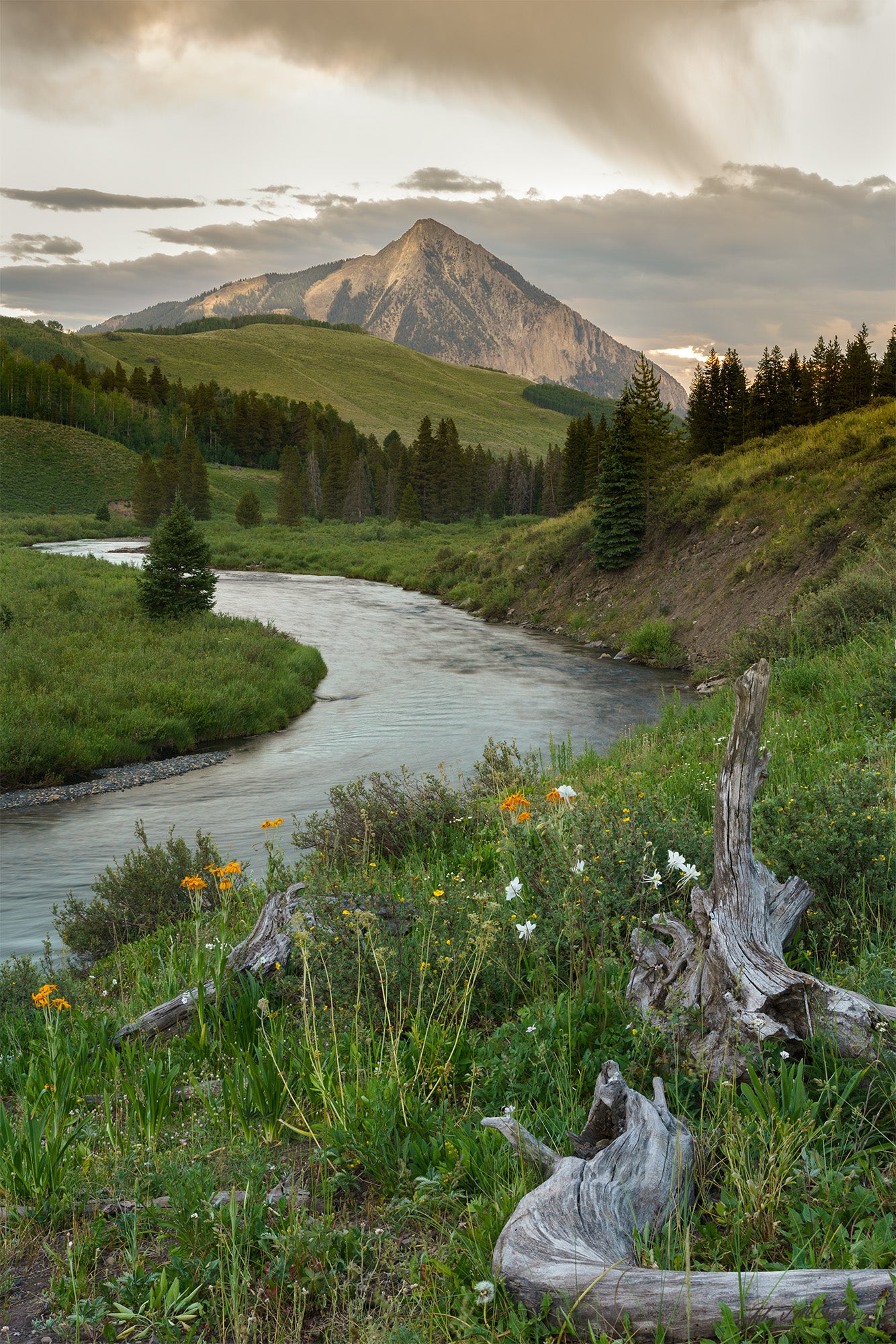 Foreground logs point towards wildflowers, the Slate River, and Crested Butte Mountain lit by the setting sun in this landscape image.