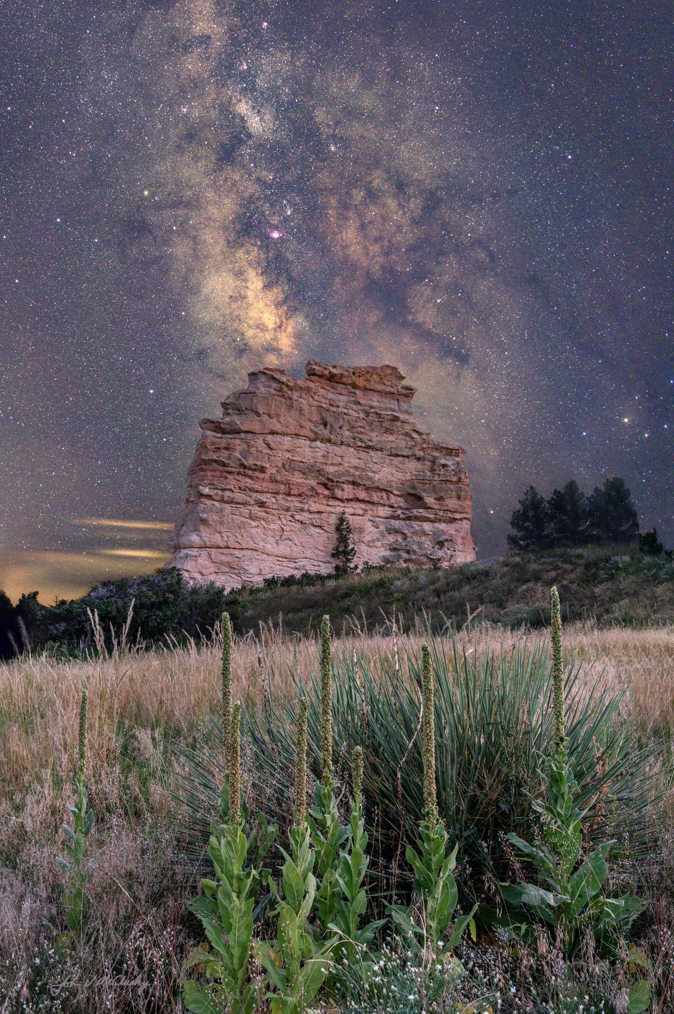 The Milky Way glows over Monument Rock in Monument Colorado, with prairie plants in the foreground