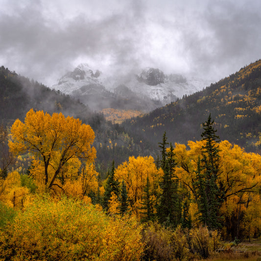 Hide and Seek: Fine Art Landscape Photography