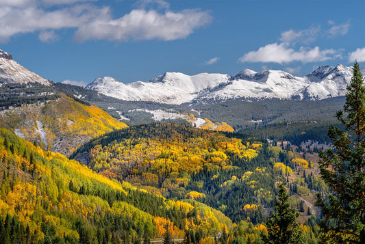Golden Valley in the San Juans
