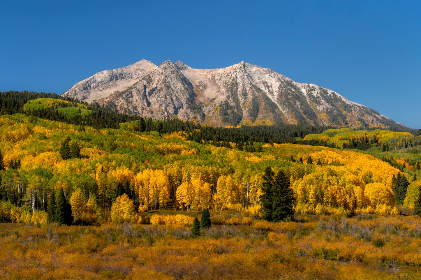 Snowy Mountain with autumn foliage 
