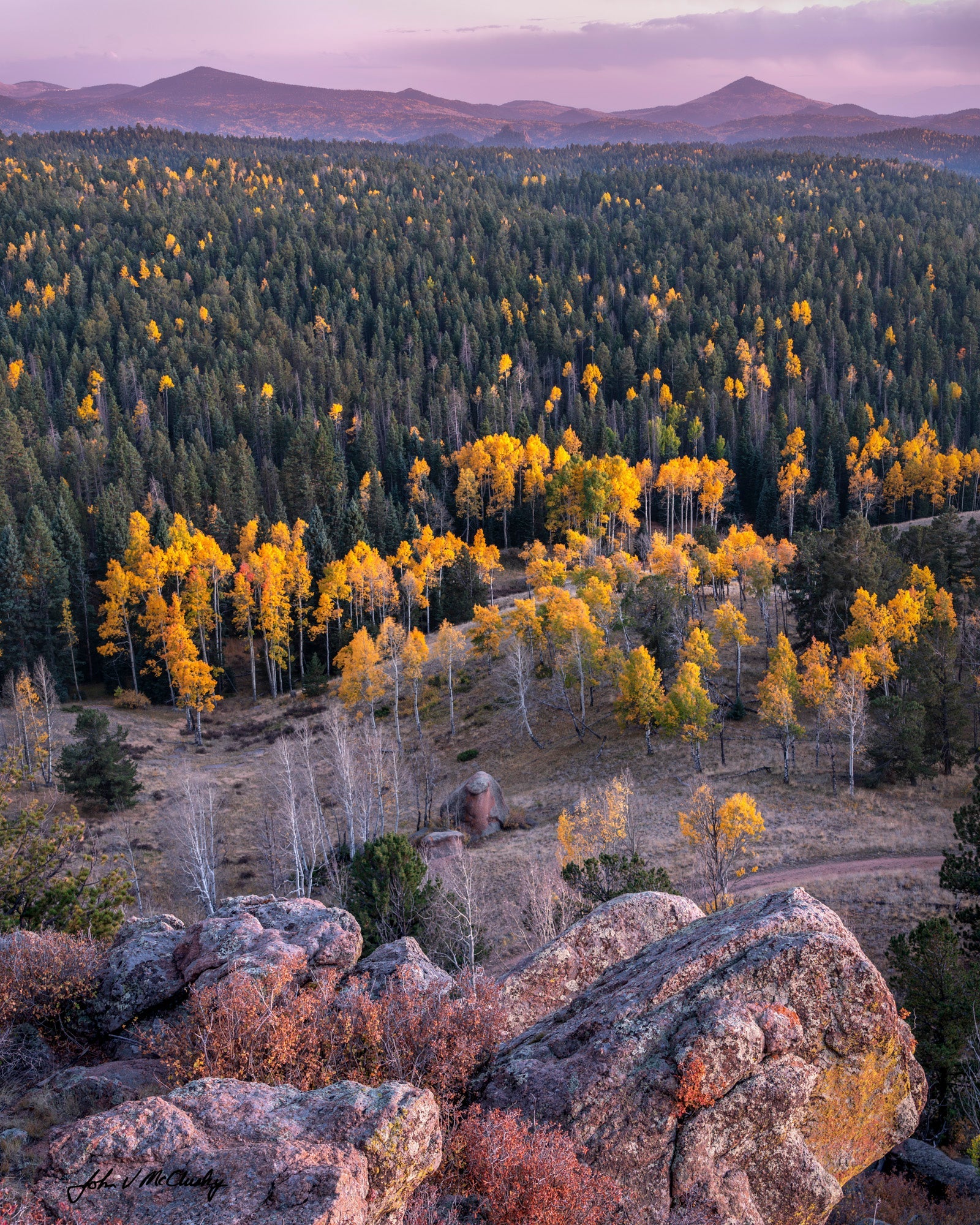 Scenic view of a forest with yellow trees and rocky landscape