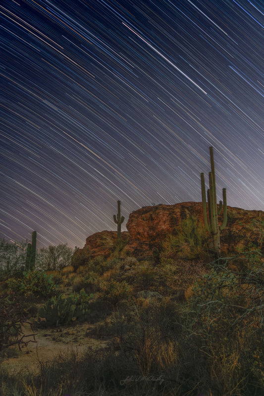 Star Trails and Saguaro