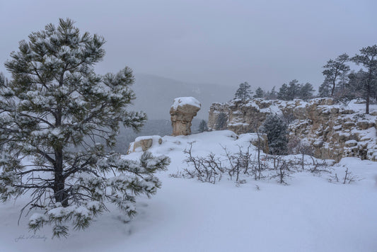 Snow at Spruce Mountain III