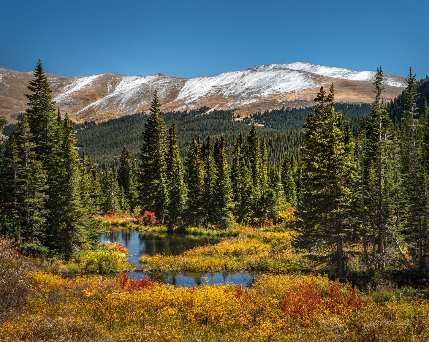 Blue Lake Wetlands