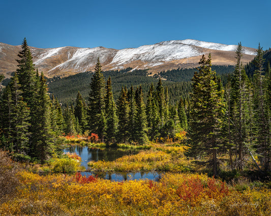 Blue Lake Wetlands
