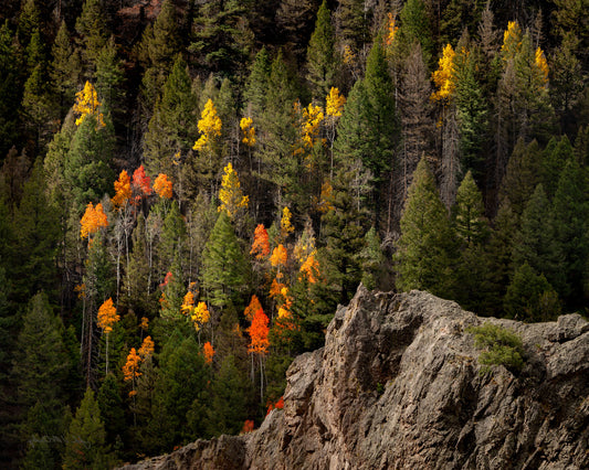 Aspenfire
