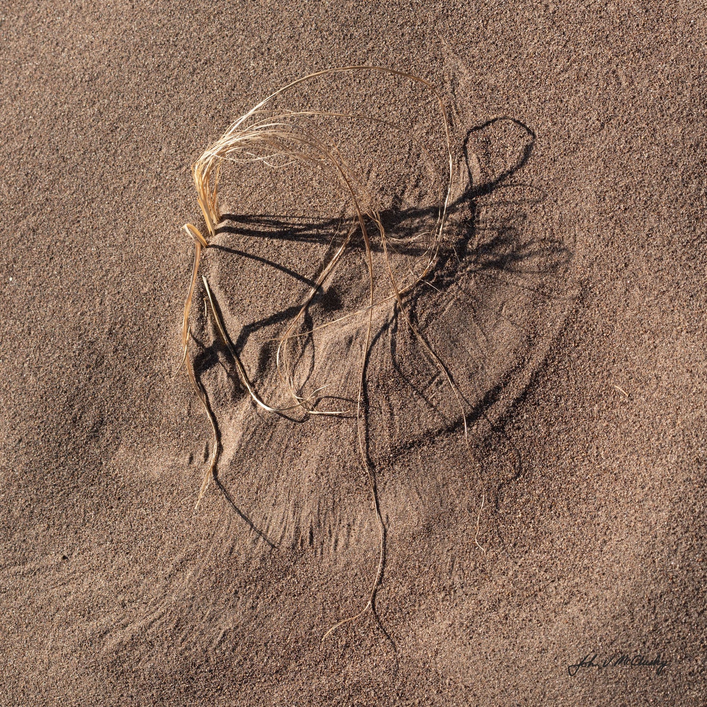 Windblown