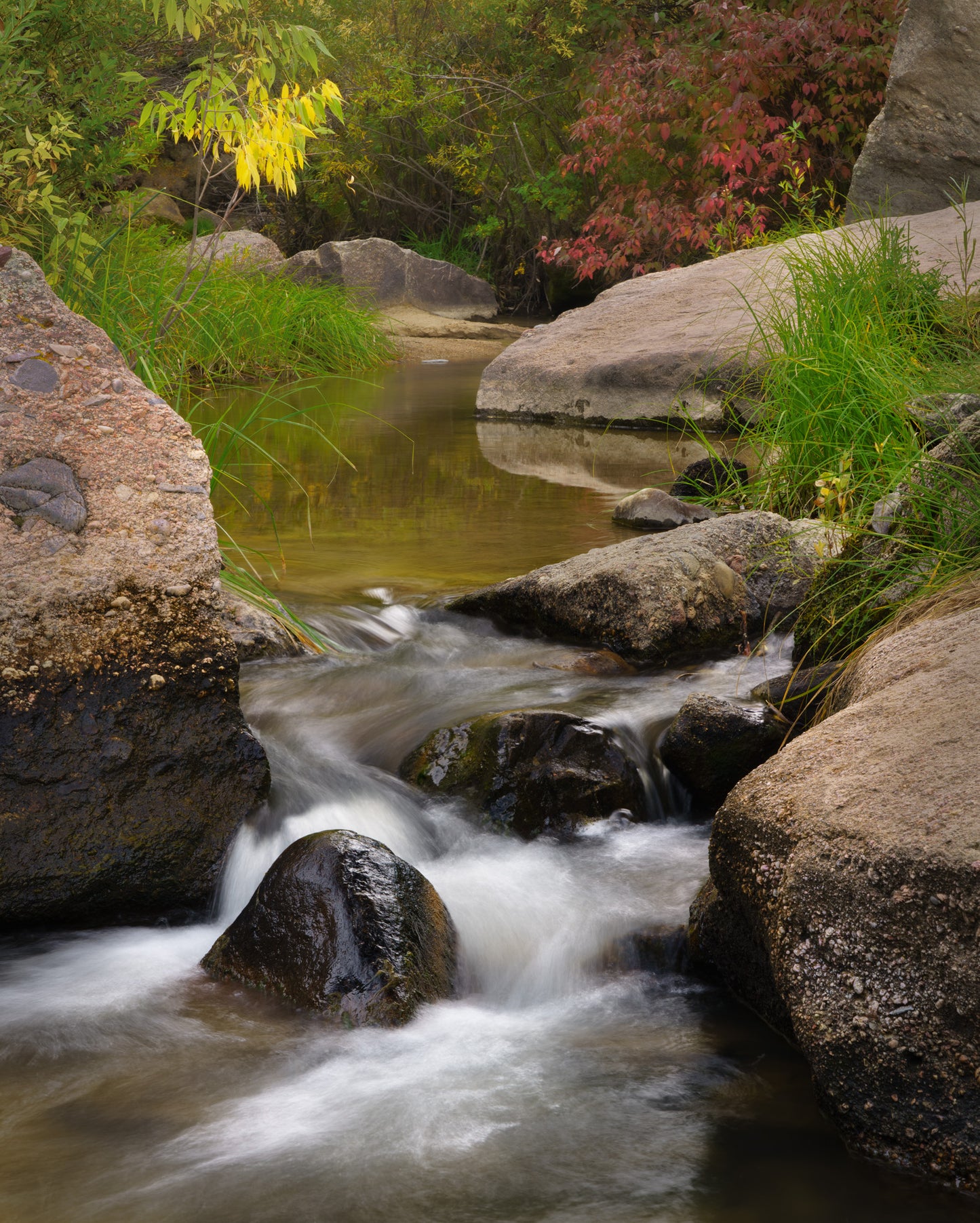 I always find the bubbling of a creek to be peaceful. In this fine art nature image, the early fall colors accentuated the restfulness in Castlewood Canyon state Park, CO.
