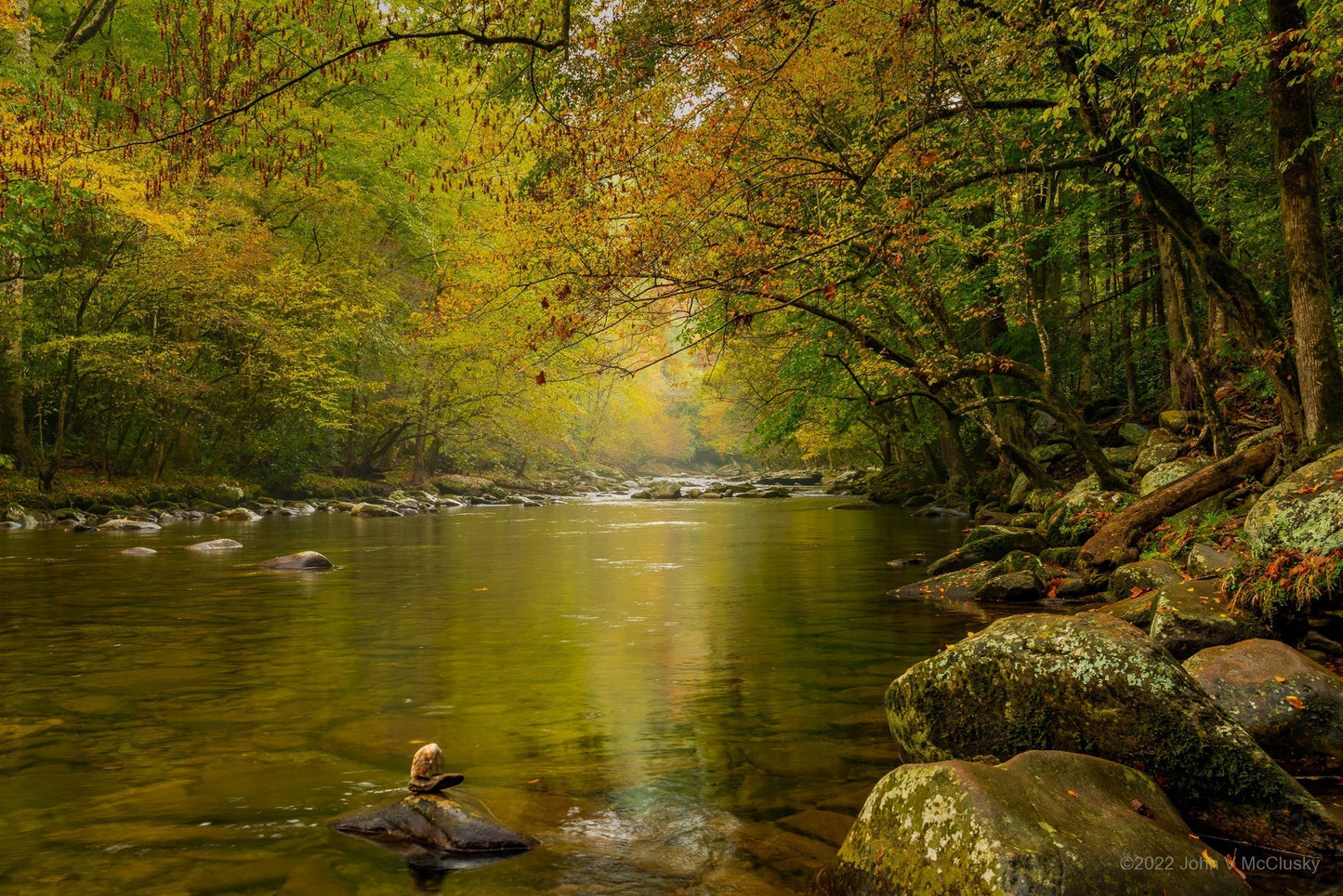 Fall is magical in the mountains! Trees bend over a peaceful, rocky river glowing with the golden light of fall in this fine art nature image.