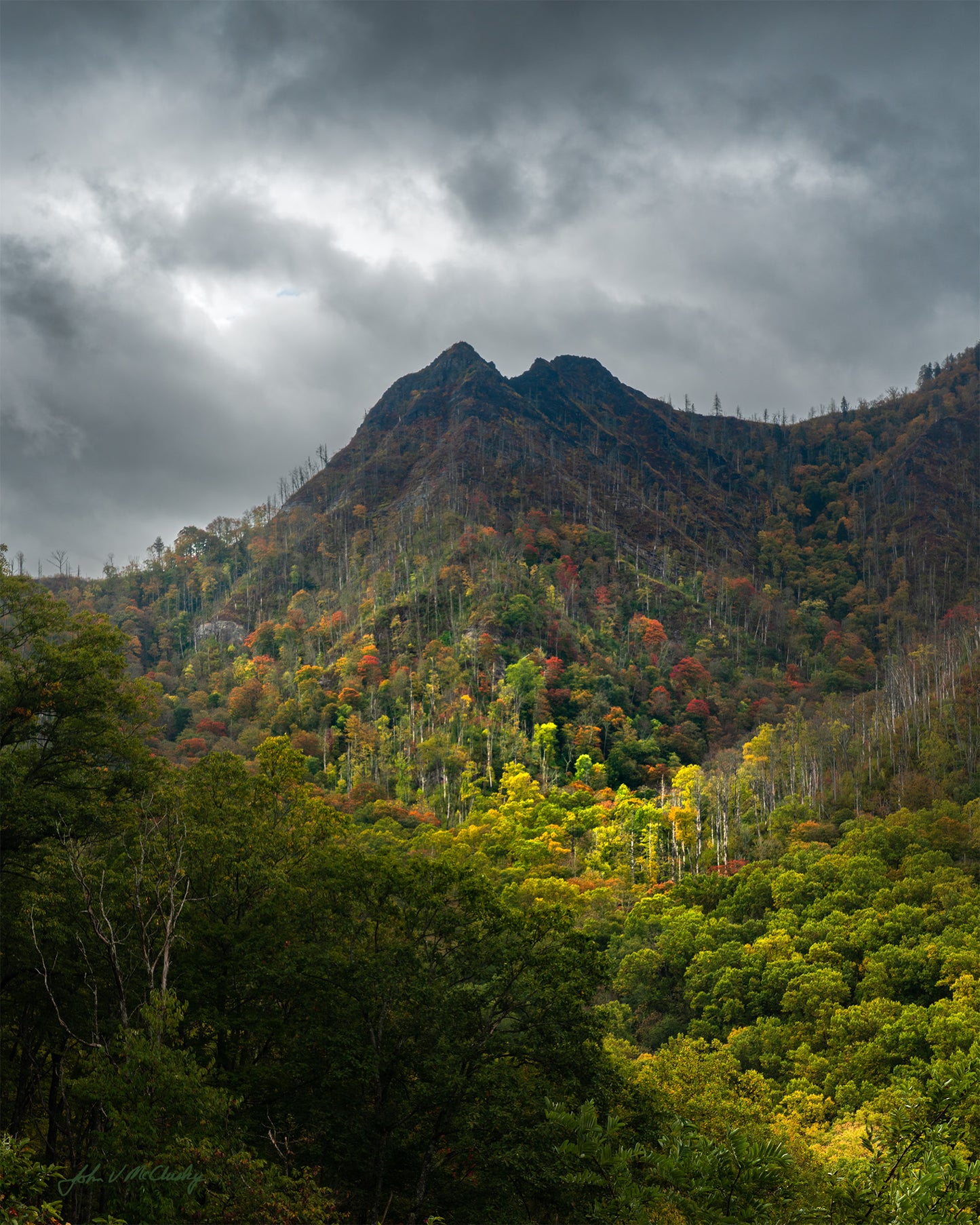 Fine art landscape print of a beam of sunlight strikes trees in fall foliage on a mountainside with dark stormclouds behind.