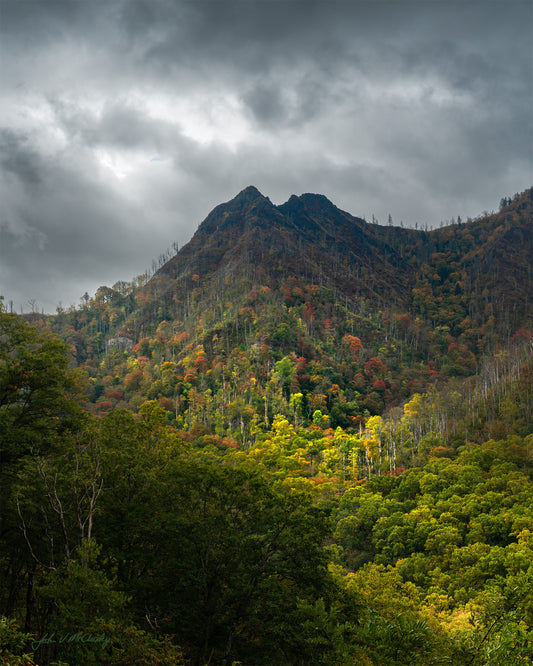 Fine art landscape print of a beam of sunlight strikes trees in fall foliage on a mountainside with dark stormclouds behind.