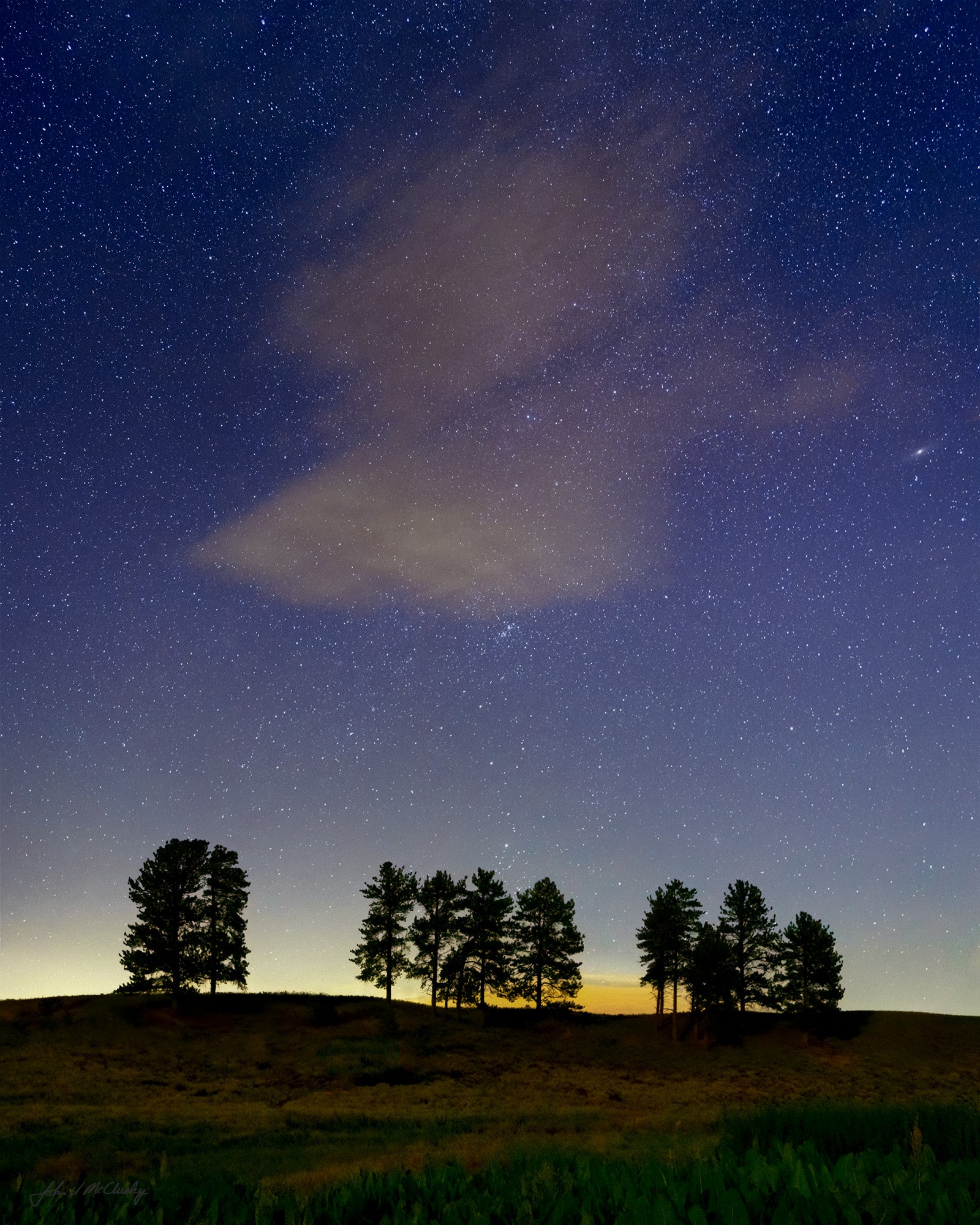 The majestic night sky, silhouetted pine trees on a ridge, and soft grasses. What more is there to say?  FIne art nature images by McClusky Nature Photography.