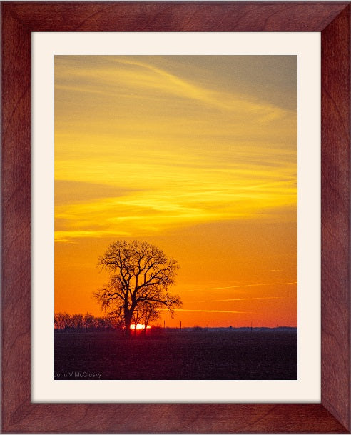 The sun peeks over the horizon behind a lone tree and lights the sky with orange and yellow.  Available as a metal print, fine art print, canvas wrap, or mounted photographic print. 
McClusky Nature Photography