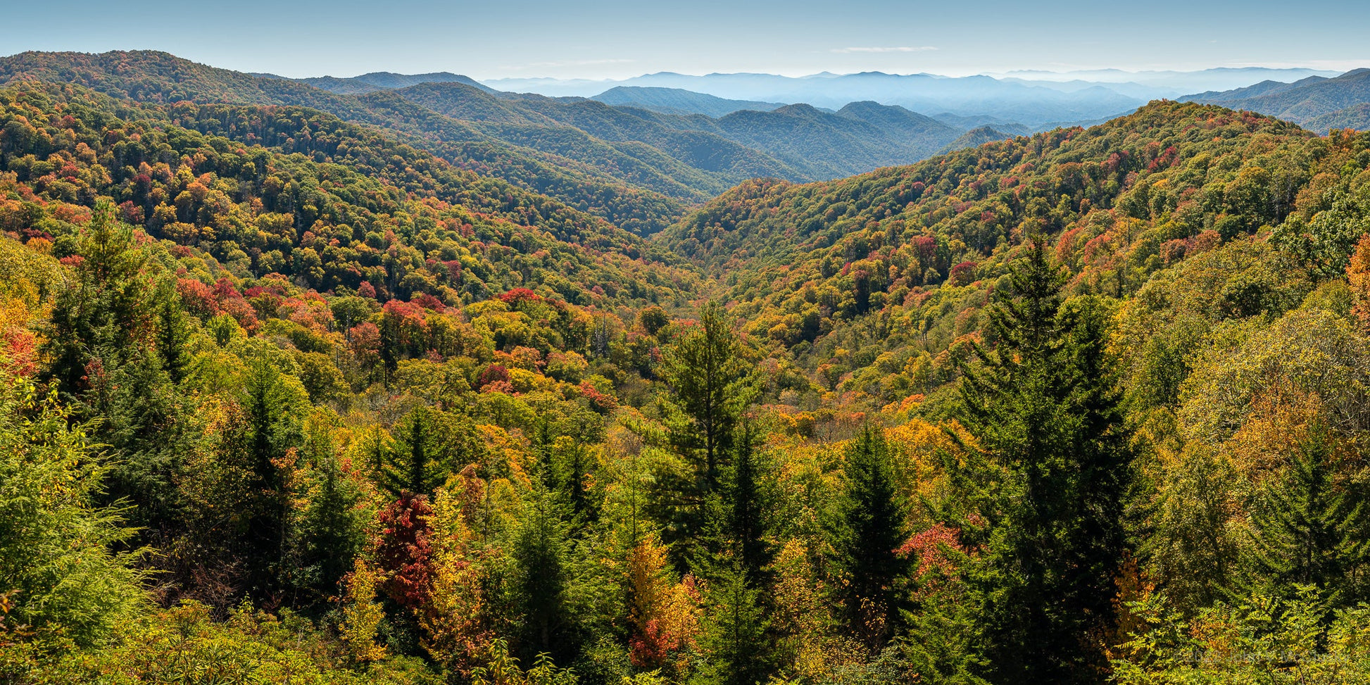 Fall colors in the Smoky Mountains