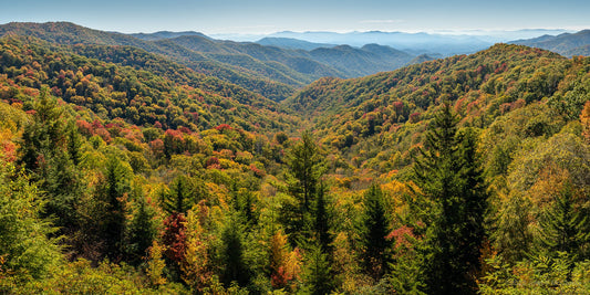 Fall colors in the Smoky Mountains