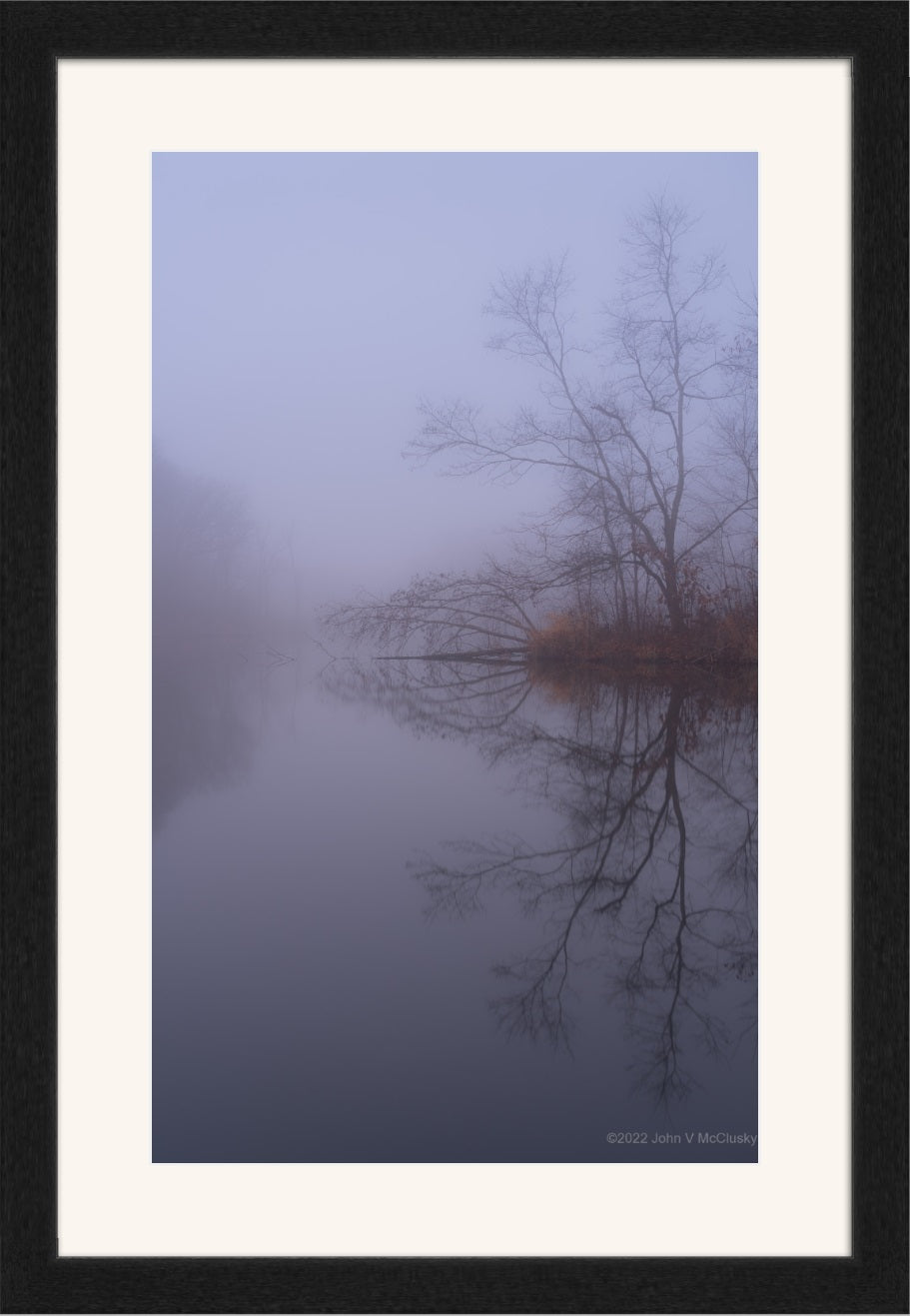 Trees and the golden bank grass are mirrored in Drake Lake through the fog in the blue light of early dawn.
