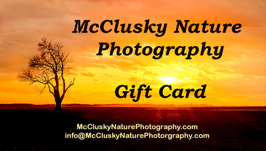 A Gift Card, redeemable to any nature or landscape image at McClusky Nature Photography.